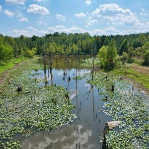 Photo #11 of 61 AC Acorn Rd, Nathalie, VA 62.1 acres
