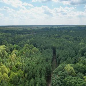 Photo #3 of 61 AC Acorn Rd, Nathalie, VA 62.1 acres