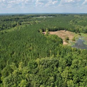 Photo #16 of 61 AC Acorn Rd, Nathalie, VA 62.1 acres