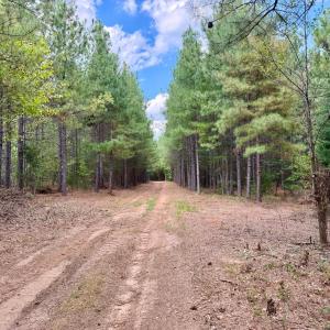 Photo #7 of 61 AC Acorn Rd, Nathalie, VA 62.1 acres