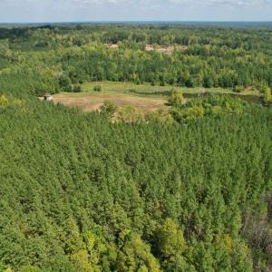 Photo #1 of 61 AC Acorn Rd, Nathalie, VA 62.1 acres