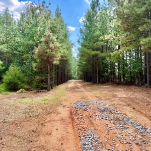 Photo #6 of 61 AC Acorn Rd, Nathalie, VA 62.1 acres