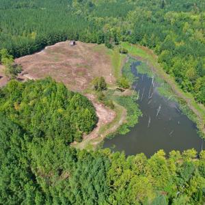Photo #14 of 61 AC Acorn Rd, Nathalie, VA 62.1 acres