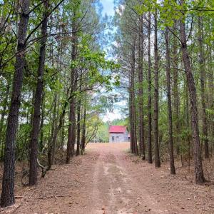 Photo #9 of 61 AC Acorn Rd, Nathalie, VA 62.1 acres