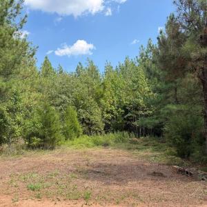 Photo #5 of 61 AC Acorn Rd, Nathalie, VA 62.1 acres