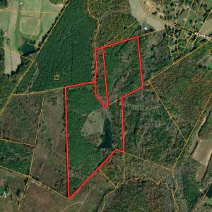 Photo #17 of 61 AC Acorn Rd, Nathalie, VA 62.1 acres