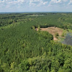 Photo #15 of 61 AC Acorn Rd, Nathalie, VA 62.1 acres