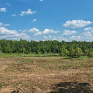 Photo #12 of 61 AC Acorn Rd, Nathalie, VA 62.1 acres