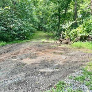 Photo #3 of 12 Gun Mountain Drive, Monroe, VA 5.0 acres
