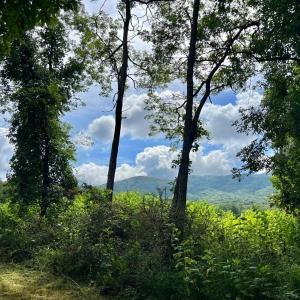 Photo #2 of 12 Gun Mountain Drive, Monroe, VA 5.0 acres