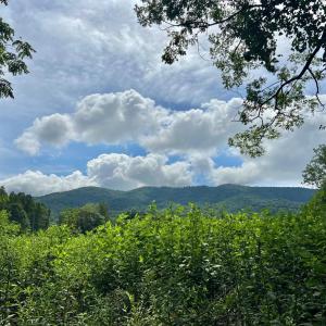 Photo #1 of 12 Gun Mountain Drive, Monroe, VA 5.0 acres