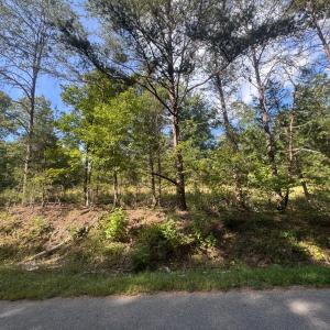 Photo #1 of 1377 Riverville Road, Gladstone, VA 11.1 acres