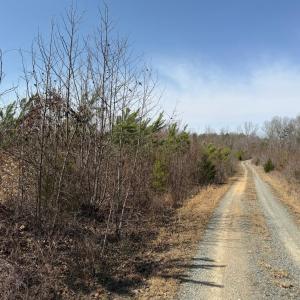 Photo #13 of 20225 L.P. Bailey Memorial Highway, Nathalie, VA 13.2 acres