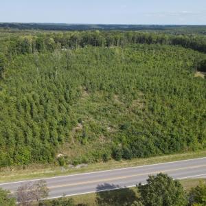 Photo #1 of 20225 L.P. Bailey Memorial Highway, Nathalie, VA 13.2 acres