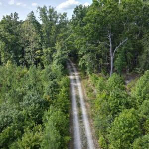 Photo #6 of 20225 L.P. Bailey Memorial Highway, Nathalie, VA 13.2 acres