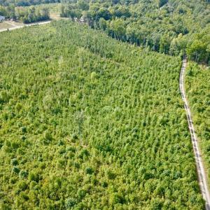 Photo #5 of 20225 L.P. Bailey Memorial Highway, Nathalie, VA 13.2 acres