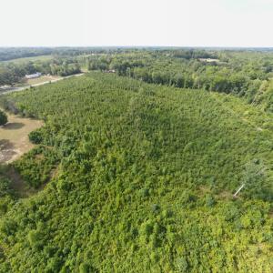 Photo #4 of 20225 L.P. Bailey Memorial Highway, Nathalie, VA 13.2 acres