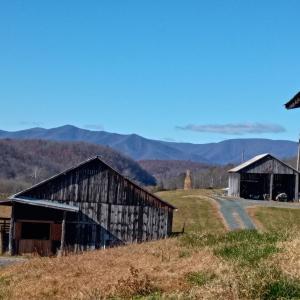 Photo #3 of Wilderness Creek Road, Monroe, VA 110.0 acres