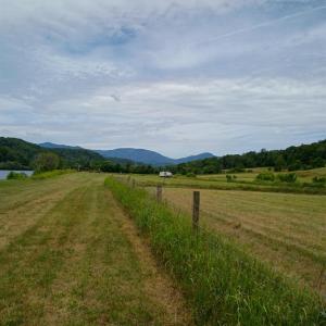 Photo #17 of Wilderness Creek Road, Monroe, VA 110.0 acres