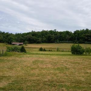 Photo #19 of Wilderness Creek Road, Monroe, VA 110.0 acres