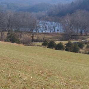 Photo #1 of Wilderness Creek Road, Monroe, VA 110.0 acres