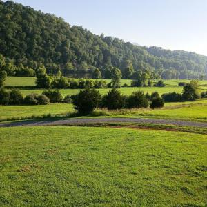 Photo #14 of Wilderness Creek Road, Monroe, VA 110.0 acres
