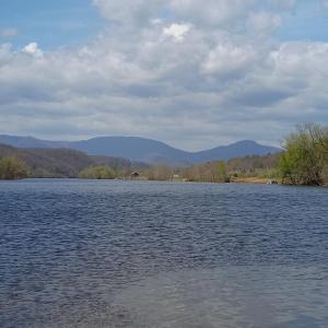 Photo #4 of Wilderness Creek Road, Monroe, VA 110.0 acres