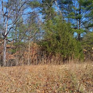 Photo #6 of Wilderness Creek Road, Monroe, VA 110.0 acres