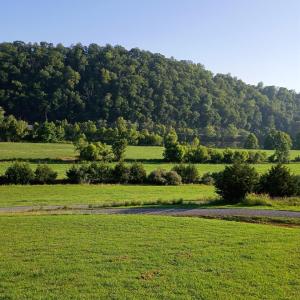 Photo #13 of Wilderness Creek Road, Monroe, VA 110.0 acres