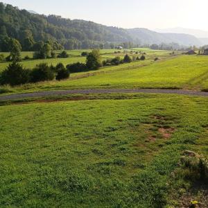 Photo #16 of Wilderness Creek Road, Monroe, VA 110.0 acres