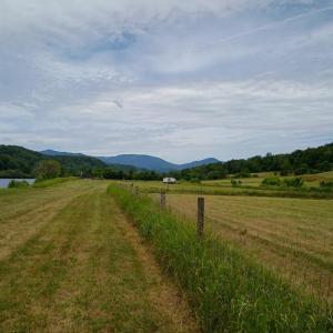 Photo #18 of Wilderness Creek Road, Monroe, VA 110.0 acres