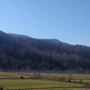 Photo #11 of Wilderness Creek Road, Monroe, VA 110.0 acres