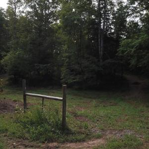 Photo #4 of Beckham Road, Concord, VA 5.0 acres