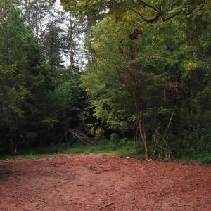 Photo #9 of Beckham Road, Concord, VA 5.0 acres