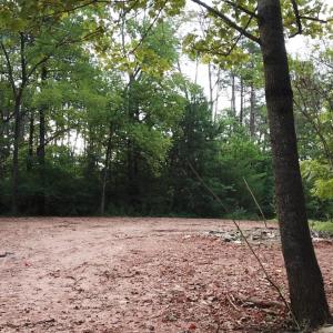 Photo #7 of Beckham Road, Concord, VA 5.0 acres