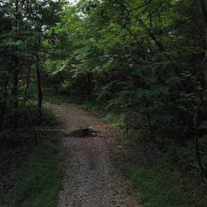 Photo #5 of Beckham Road, Concord, VA 5.0 acres