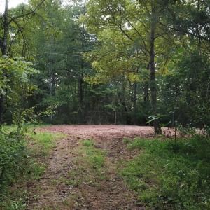 Photo #6 of Beckham Road, Concord, VA 5.0 acres