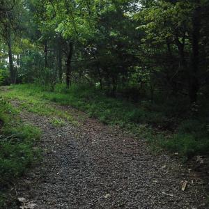 Photo #1 of Beckham Road, Concord, VA 5.0 acres
