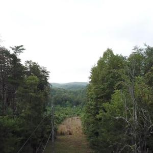 Photo #11 of Beckham Road, Concord, VA 5.0 acres