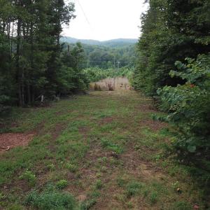 Photo #10 of Beckham Road, Concord, VA 5.0 acres