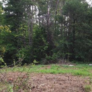 Photo #8 of Beckham Road, Concord, VA 5.0 acres