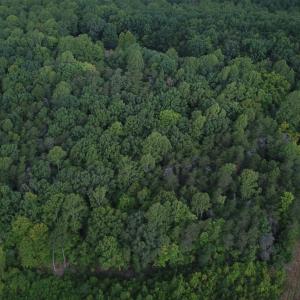 Photo #2 of Beckham Road, Concord, VA 5.0 acres