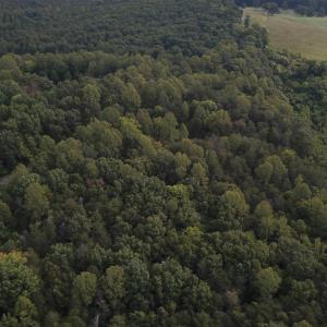 Photo #3 of Beckham Road, Concord, VA 5.0 acres