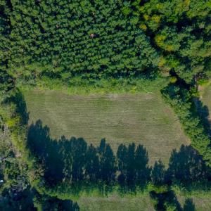 Photo #11 of Greenhouse Road, Rustburg, VA 13.7 acres