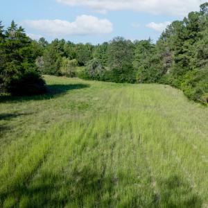 Photo #5 of Greenhouse Road, Rustburg, VA 13.7 acres