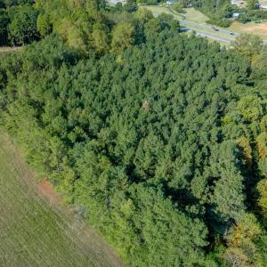 Photo #14 of Greenhouse Road, Rustburg, VA 13.7 acres