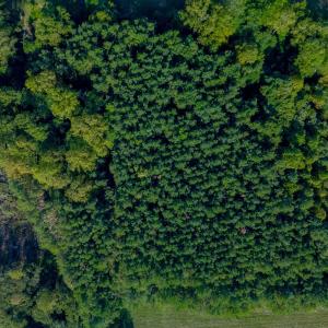 Photo #13 of Greenhouse Road, Rustburg, VA 13.7 acres