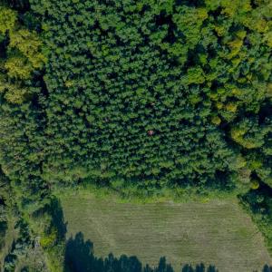Photo #12 of Greenhouse Road, Rustburg, VA 13.7 acres