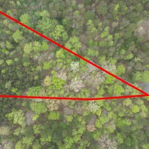 Photo #6 of 361 Clear Pointe Run, Lynch Station, VA 3.7 acres