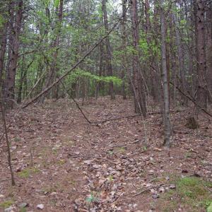 Photo #21 of 361 Clear Pointe Run, Lynch Station, VA 3.7 acres